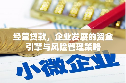 佛冈经营贷款，企业发展的资金引擎与风险管理策略