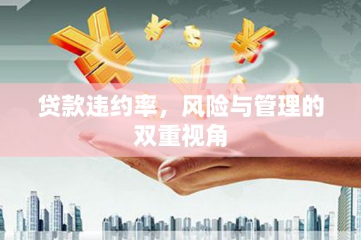 佛冈贷款违约率，风险与管理的双重视角