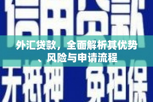 佛冈外汇贷款，全面解析其优势、风险与申请流程
