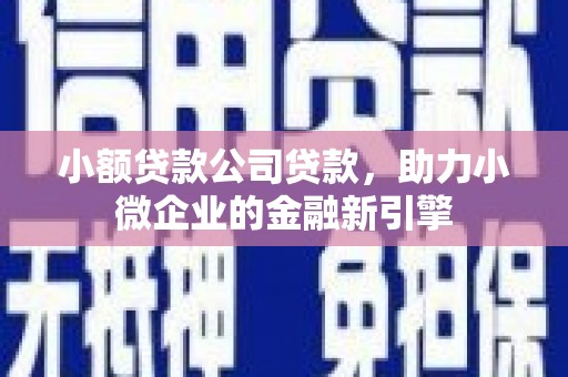佛冈小额贷款公司贷款，助力小微企业的金融新引擎