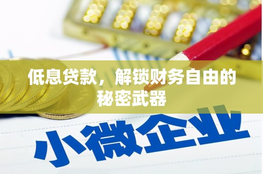 佛冈低息贷款，解锁财务自由的秘密武器