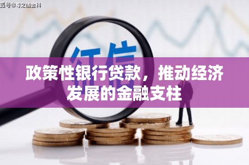 佛冈政策性银行贷款，推动经济发展的金融支柱