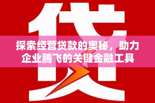 佛冈探索经营贷款的奥秘，助力企业腾飞的关键金融工具