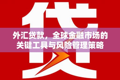 佛冈外汇贷款，全球金融市场的关键工具与风险管理策略