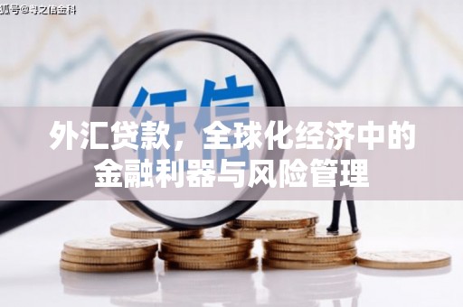 佛冈外汇贷款，全球化经济中的金融利器与风险管理