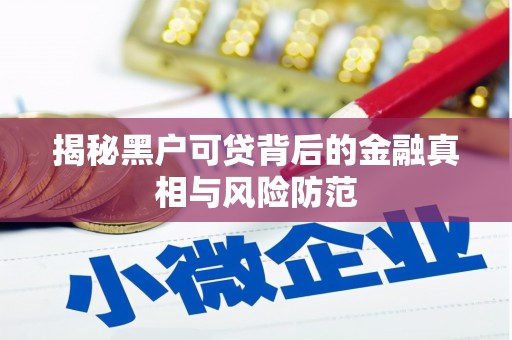 佛冈揭秘黑户可贷背后的金融真相与风险防范