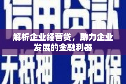 佛冈解析企业经营贷，助力企业发展的金融利器