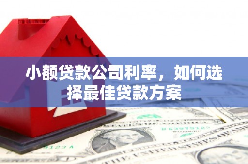 佛冈小额贷款公司利率，如何选择最佳贷款方案