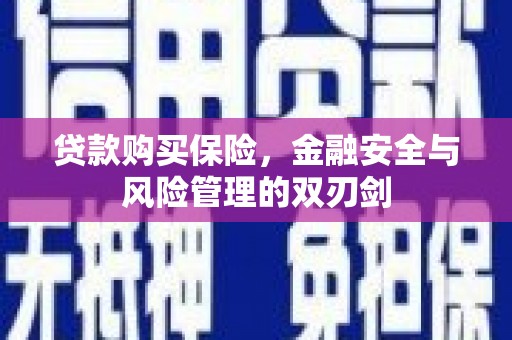 佛冈贷款购买保险，金融安全与风险管理的双刃剑