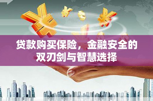 佛冈贷款购买保险，金融安全的双刃剑与智慧选择