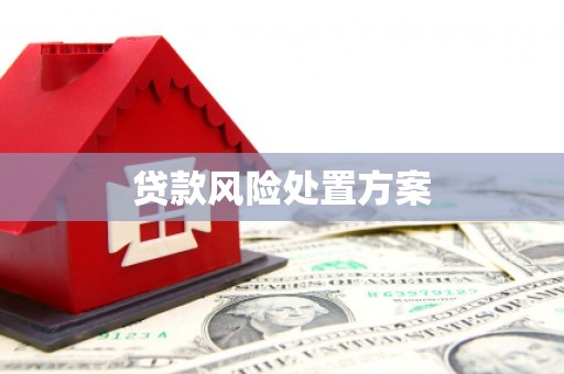 佛冈贷款风险处置方案