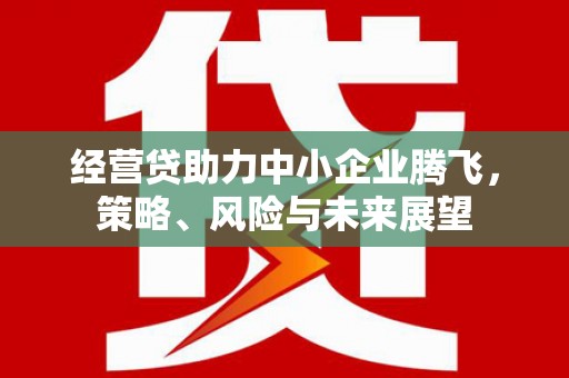 佛冈经营贷助力中小企业腾飞，策略、风险与未来展望