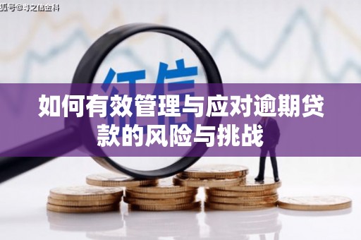 佛冈如何有效管理与应对逾期贷款的风险与挑战