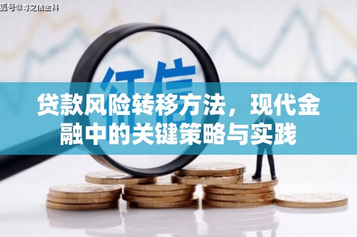 佛冈贷款风险转移方法，现代金融中的关键策略与实践