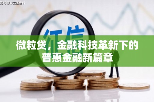 佛冈微粒贷，金融科技革新下的普惠金融新篇章