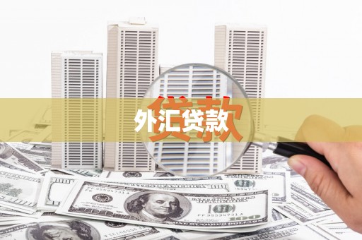 佛冈外汇贷款