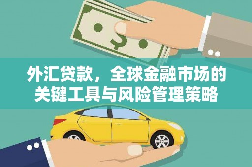 佛冈外汇贷款，全球金融市场的关键工具与风险管理策略