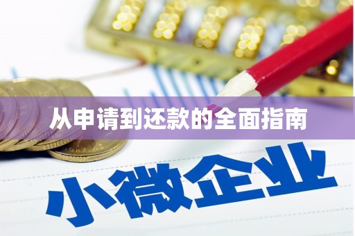 佛冈从申请到还款的全面指南