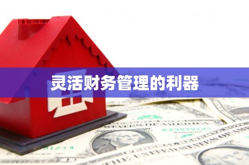 佛冈灵活财务管理的利器