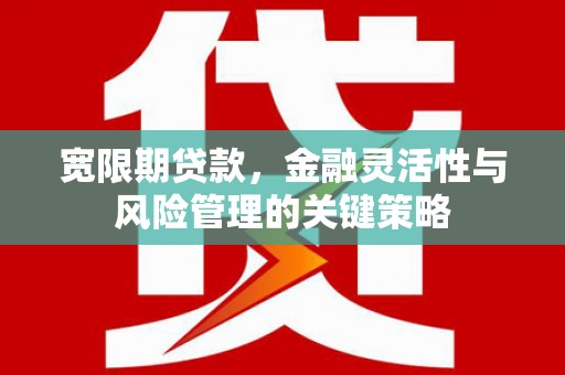 佛冈宽限期贷款，金融灵活性与风险管理的关键策略