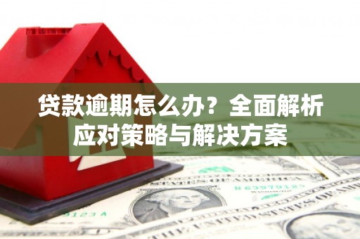 佛冈贷款逾期怎么办？全面解析应对策略与解决方案