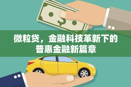 佛冈微粒贷，金融科技革新下的普惠金融新篇章