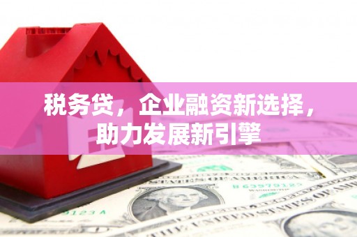 佛冈税务贷，企业融资新选择，助力发展新引擎
