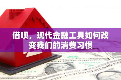 佛冈借呗，现代金融工具如何改变我们的消费习惯