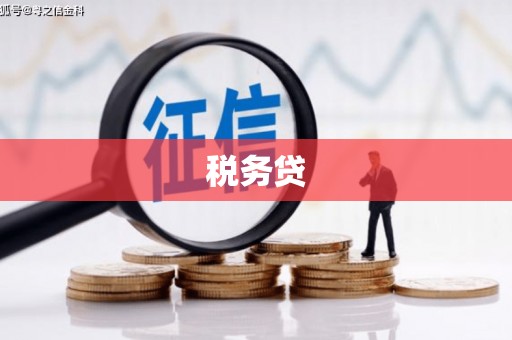 佛冈税务贷