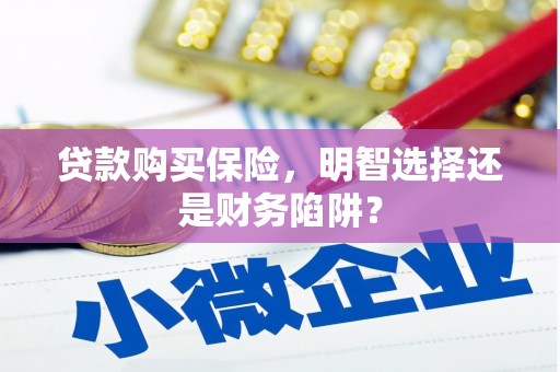 佛冈贷款购买保险，明智选择还是财务陷阱？