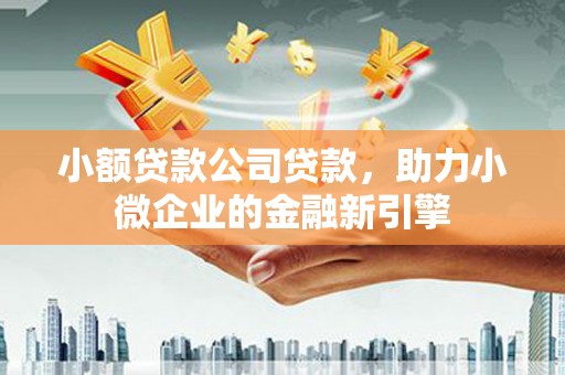 佛冈小额贷款公司贷款，助力小微企业的金融新引擎