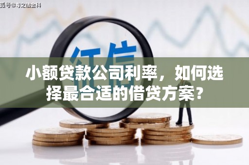 佛冈小额贷款公司利率，如何选择最合适的借贷方案？
