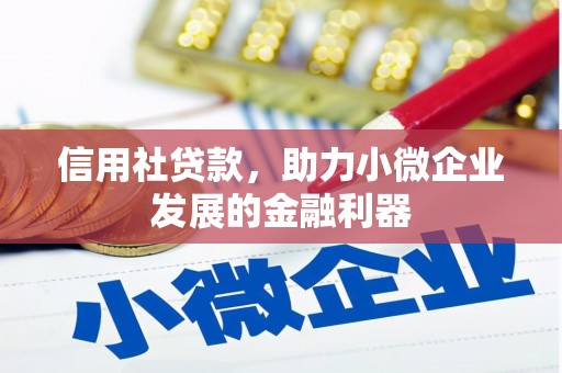 佛冈信用社贷款，助力小微企业发展的金融利器