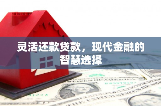 佛冈灵活还款贷款，现代金融的智慧选择
