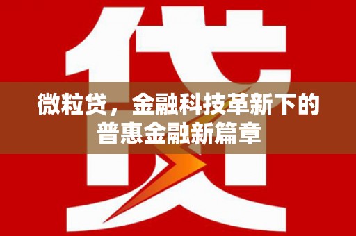 佛冈微粒贷，金融科技革新下的普惠金融新篇章