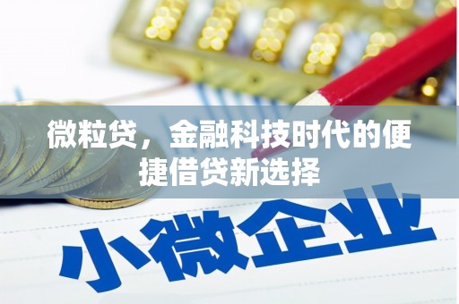 佛冈微粒贷，金融科技时代的便捷借贷新选择