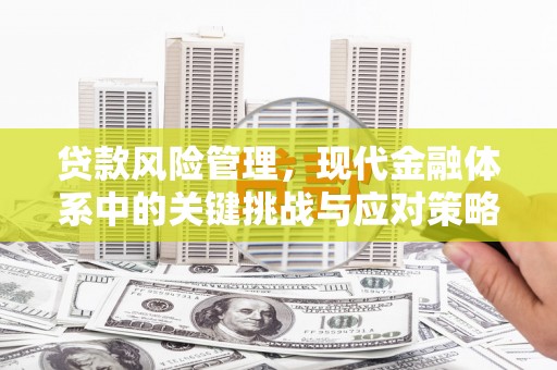 佛冈贷款风险管理，现代金融体系中的关键挑战与应对策略