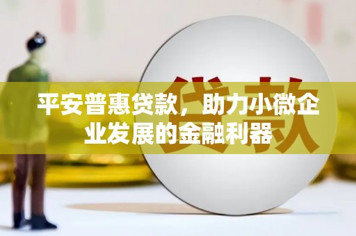 佛冈平安普惠贷款，助力小微企业发展的金融利器
