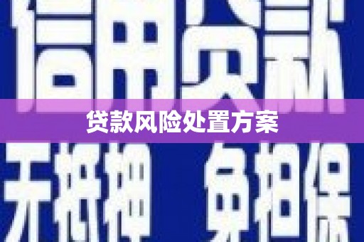 佛冈贷款风险处置方案