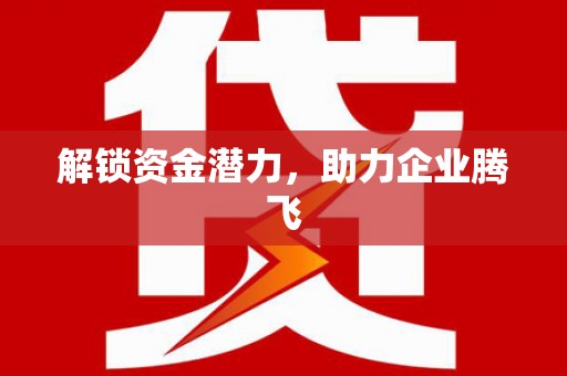 佛冈解锁资金潜力，助力企业腾飞